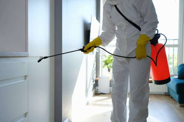 Best Mold Cleaning Services  in Spurgeon, TN